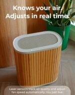 Air Purifier for Home - 3-In-1 Filtration for Smoke & More - True HEPA Filter, Activated Carbon - Image 3