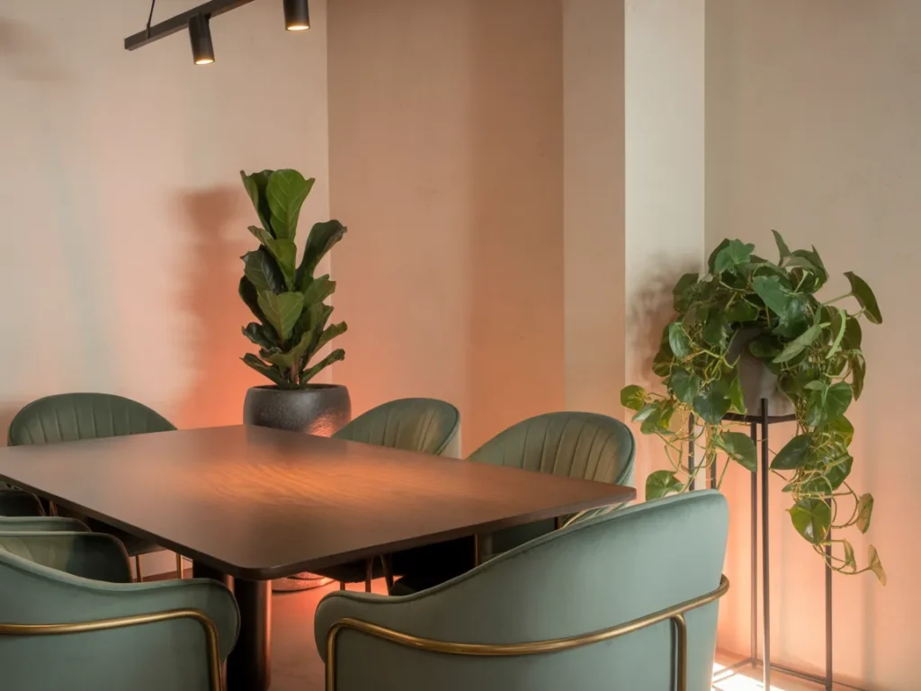 Dimmed Track Lighting