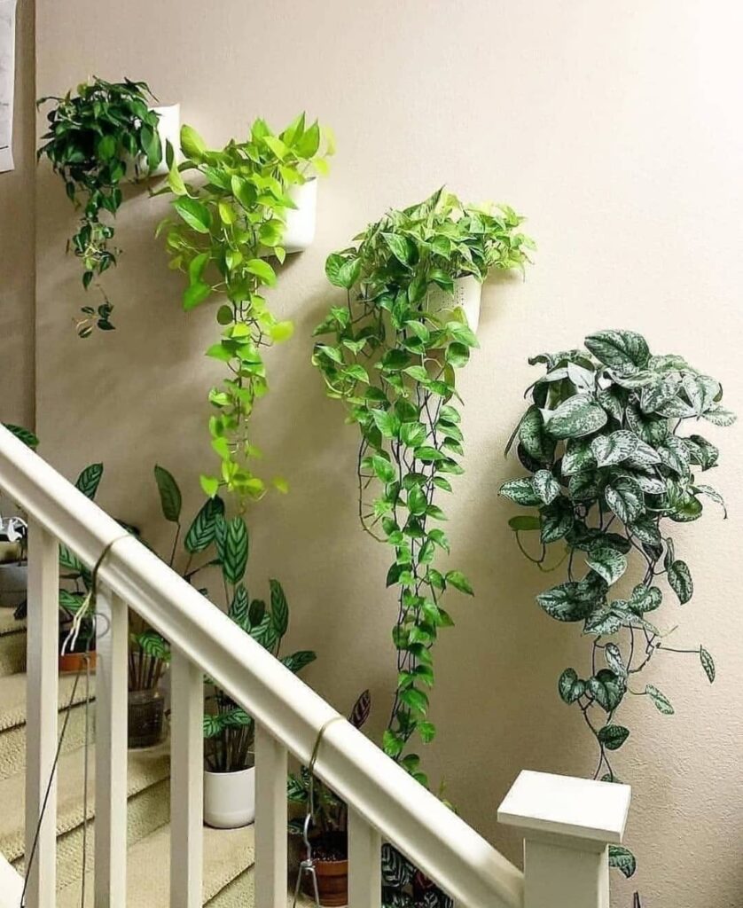  botanical staircase gallery wall